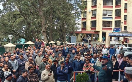 शिमला में HPU कर्मचारियों का प्रदर्शन:4 तारीख तक वेतन न मिलने पर रोष; बोले- कल से अनिश्चितकालीन हड़ताल पर जाएंगे