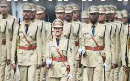 सरकारी नौकरी:SSC MTS 2024 के लिए पदों की संख्या बढ़ी; उम्र के अनुसार बांटे गए पद, अब 11,518 वैकेंसी