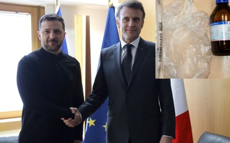 Russia Ukraine War: ट्रंप की बेरुखी के बाद फ्रांस बना यूक्रेन का नया खेवनहार, कीव को दे रहा खुफिया सैन्य जानकारी