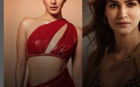 डॉन 3' की नई हीरोइन कौन? कियारा की जगह कृति सेनन या शरवरी वाघ