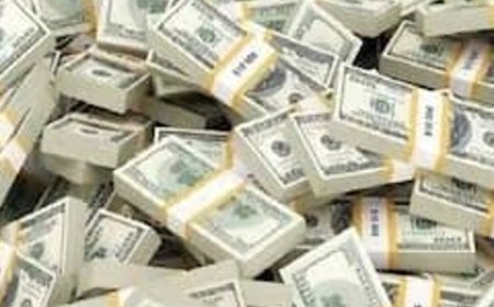 हिमाचल में ऑस्ट्रेलियाई महिला पर मनी-लॉन्ड्रिंग की FIR:विदेशी खातों में अवैध धन ट्रांसफर करने का आरोप; शिकायतकर्ता बोला-कंपनी का नियंत्रण लिया