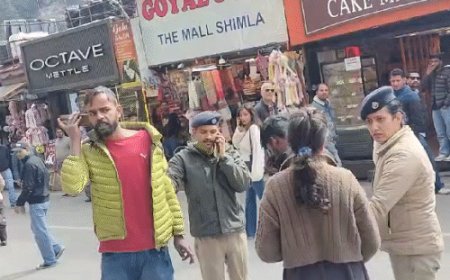 शिमला में युवक का हुड़दंग, फूट-फूट कर रोई लड़की:पब्लिक प्लेस पर बदसलूकी और गाली-गलौज, लड़के को घसीटकर थाने ले गई पुलिस