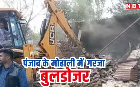 मोहाली में गरजा मान का बुलडोजर, पंजाब में नशे के खिलाफ पाल खान की करोड़ों की संपत्ति जमींदोज