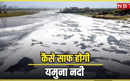 1993 से ही 'आईसीयू' में हैं यमुना, क्या 3 सालों में मिल जाएगी नई जिंदगी?