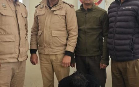 कुल्लू में तीन नशा तस्कर गिरफ्तार:चरस- हेरोइन बरामद, अवैध शराब की बोतल लेकर जा रहा था एक आरोपी
