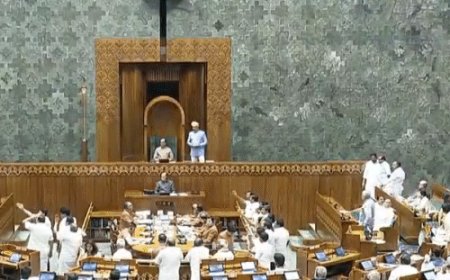 संसद में नई शिक्षा नीति, ट्राय-लैंग्वेज पर हंगामा:DMK सांसद नारेबाजी करते शिक्षा मंत्री के करीब पहुंचे, प्रधान बोले- ये बेईमान