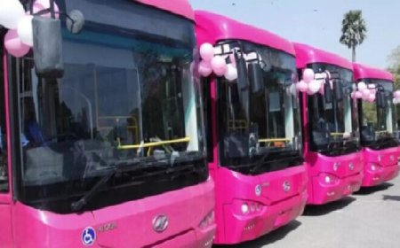 होली बाद बिहार की महिलाओं को नीतीश देने जा रहे 'पिंक गिफ्ट', 6 से 25 रुपये में पूरा पटना घूमा देंगे