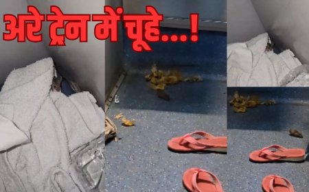 ट्रेन के एसी कोच में चूहा, यात्री ने शेयर किया वीडियो... रेलवे का क्या आया जवाब