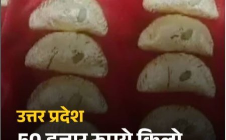गोंडा में 50,000 रुपये किलो की अनोखी गुजिया, सोशल मीडिया पर छिड़ी बहस