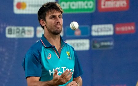 IPL 2025 में गेंदबाजी नहीं कर पाएगा ये धाकड़ ऑलराउंडर, सामने आया बड़ा अपडेट