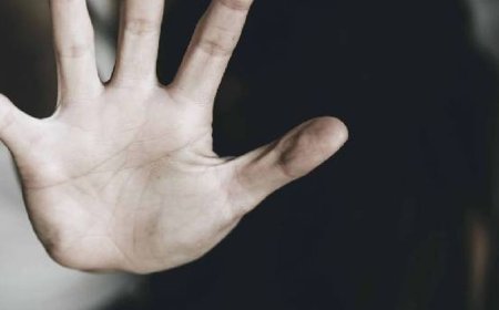 दिल्ली में ब्रिटिश युवती के साथ रेप और छेड़छाड़:सोशल मीडिया पर हुई थी आरोपी युवक से दोस्ती, दो गिरफ्तार