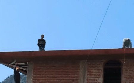 संजौली मस्जिद केस की निगम कोर्ट में सुनवाई:निचली दो मंजिल को लेकर होगा फैसला; अवैध हिस्सा तेजी से गिराने की मांग करेंगे स्थानीय