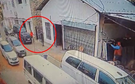 हिमाचल में पूर्व MLA पर फायरिंग के आरोपी फरार:16 घंटे बाद भी सुराग नहीं लगा; CCTV फुटेज आने के बाद भी पहचान नहीं