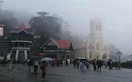 हिमाचल के पहाड़ों पर फिर हुई बारिश-बर्फबारी:गोंदला में 13CM फ्रेश स्नोफॉल;​​​​​​​ शिमला में रात में खूब बरसे बादल, 10 जिलों में चेतावनी