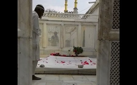 औरंगजेब की कब्र जल्द नहीं हटी, तो 'कारसेवा'...', VHP का 17 मार्च को पूरे महाराष्‍ट्र में आंदोलन