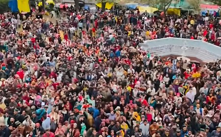 रामपुर फाग मेले में देवी-देवताओं का आगमन:25 देवों ने की शहर की परिक्रमा, राज दरबार में नाटियों का दौर चला