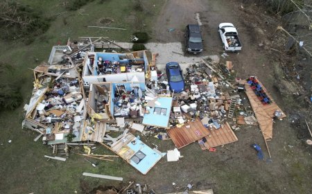 अमेरिका में ट्रिपल अटैक! बवंडर, धूल भरी आंधी और जंगल में लगी आग ने मचाई तबाही; भयावह हैं हालात