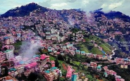 शिमला में ब्लैक आउट:आधे शहर में सुबह 6 बजे से बिजली गुल; मल्याणा में केबल जली, 3 दिन से बिजली कट लग रहे