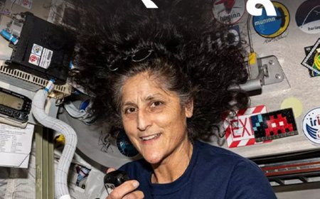 9 महीने बाद धरती पर लौटेंगी सुनीता विलियम्स:अमेरिकन नेवी में हेलिकॉप्‍टर पायलट बनीं, 2008 में पद्म भूषण से सम्‍मानित; जानें कंप्‍लीट प्रोफाइल