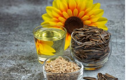 सूरजमुखी: क्यों हमेशा सूर्य की दिशा में होता है सूरजमुखी का मुख? जानिए इसके पीछे का विज्ञान