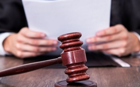 हिसार में यूपी के युवक को 4 साल की सजा:35 क्विंटल गोमांस समेत पकड़ा गया, पिकअप से दिल्ली कर रहा था सप्लाई