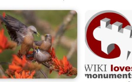 विकी लव्स बांग्ला-2025 फोटोग्राफी प्रतियोगिता: भाग लें और जीतें