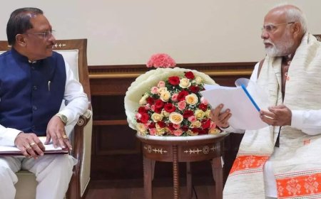 पीएम मोदी के पास कौन सी लिस्ट लेकर गए थे सीएम! इन नामों के लेकर अटकलें, जल्द हो सकती है बड़ी घोषणा