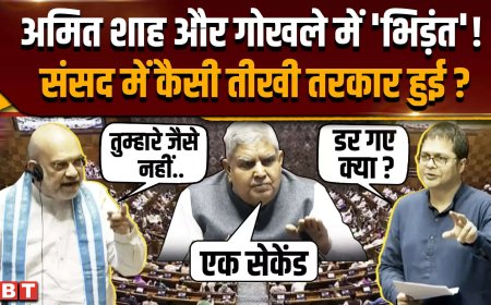 मैं किसी से डरता नहीं, 7 बार चुनाव जीतकर आया हूं... संसद में क्यों भड़के अमित शाह