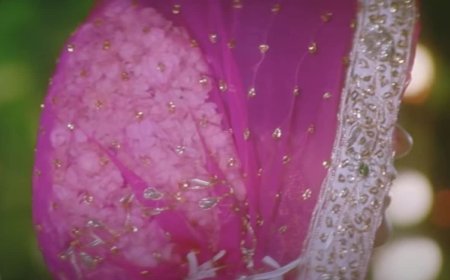 पहली फिल्म से ही देशभर की फेवरेट बन गई थी ये एक्ट्रेस, हर कोई चाहता था घर की बहू बनाना