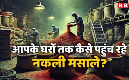 केमिकल, लकड़ी का बुरादा, सड़े चावल से तैयार हो रहे नकली मसाले, आपकी थाली में पहुंच रहा 'धीमा जहर'