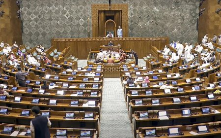 लोकसभा में पास होगा यूनियन बजट 2025-26, अपनाई जाएगी गिलोटिन प्रक्रिया, जानिए क्या होता है ये प्रॉसेस?