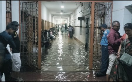 ओडिशा में बारिश के साथ ओले गिरने से मची तबाही, 2 की मौत, 67 घायल, 600 घरों को नुकसान