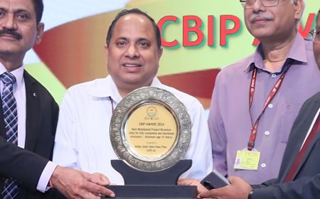 शिमला की झांकड़ी परियोजना को मिला सीबीआईपी अवॉर्ड:1500 मेगावाट नाथपा सर्वश्रेष्ठ अनुरक्षित परियोजना, देश का सबसे बड़ा पावर स्टेशन