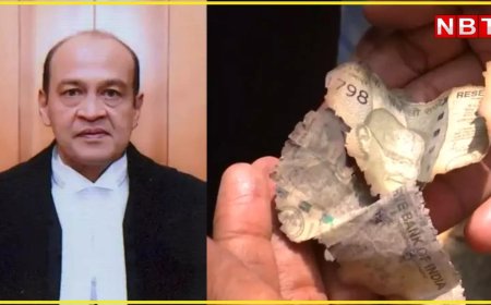 VIDEO: विवादों में घिरे दिल्ली हाई कोर्ट के जज यशवंत वर्मा, अब घर के पास मिले जले हुए नोटों के टुकड़े