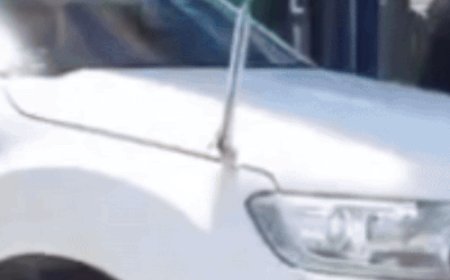 शिमला में BJP विधायक की कार का कटा चालान:नो एंट्री जोन में पहुंची गाड़ी, अकेला ड्राइवर मौजूद था; VIDEO आया सामने