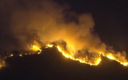 जापान के जंगलों में लगी भीषण आग, बड़ा इलाका जलकर हुआ खाक; देखें तस्वीरें