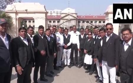 जस्टिस यशवंत वर्मा की इलाहाबाद हाई कोर्ट में नियुक्ति के खिलाफ वकीलों ने HC के सामने किया प्रदर्शन, देखें VIDEO