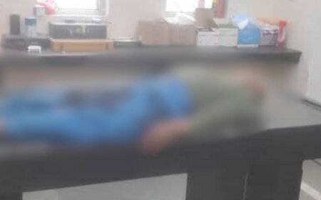 कुल्लू में बस के नीचे आने से बुजुर्ग की मौत:बहू घायल, रोड पार करते समय हादसा; इलाज के बाद खाना खाने जा रही थी