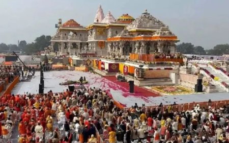राम दरबार की स्थापना, पास लेकर होंगे दर्शन; 800 श्रद्धालुओं को एंट्री… अयोध्या के राम मंदिर में बन रहा