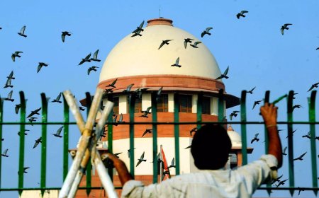 तो एम्स को सौंप देंगे अपोलो अस्पताल... सुप्रीम कोर्ट ने क्यों मांग लिया हलफनामा