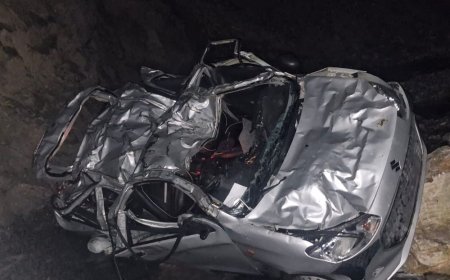 शिमला में खाई में गिरी कार, 4 की मौत:मृतकों में 2 बच्चे भी शामिल, शोघी-मैहली सड़क पर रात 10 बजे हुआ हादसा