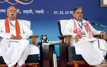 लेख : देशभर के सभी गांवों में हिंदू समाज को... बेंगलुरु में RSS ने कौन से लक्ष्य तय किए