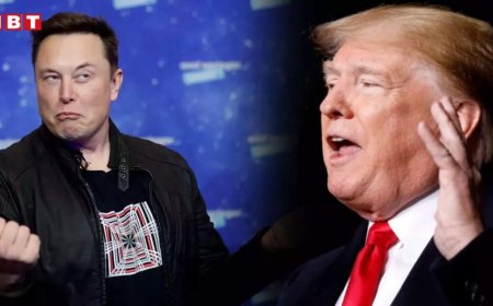 ट्रंप का एक फैसला और अमेरिकी बाजार से उड़ गए दो 'पाकिस्तान', मस्क के लिए उल्टा पड़ गया दांव