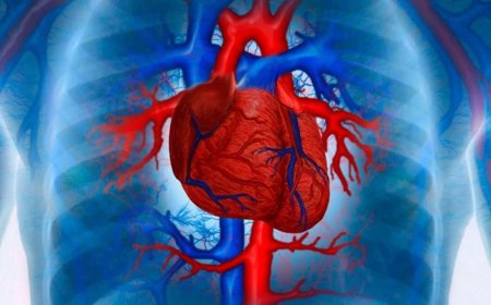 हार्ट में ब्लॉकेज होने पर स्टंट डलवाना चहिए या बाईपास सर्जरी कराएं? जानें क्या कहते हैं एक्सपर्ट