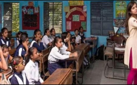 गजब है बिहार का ये स्कूल, कभी गाय-बकरी तो कभी सड़क-अलमारी से बन रही शिक्षका की हाजिरी