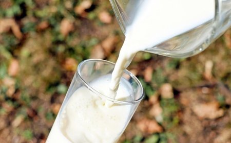 कर्नाटक में 1 अप्रैल से दूध चार रुपये प्रति लीटर होगा महंगा