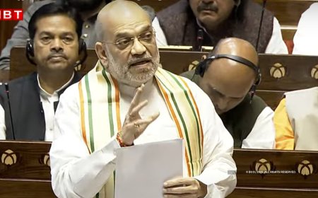 लोकसभा से इमिग्रेशन बिल 2025 पास, भारत में अशांति फैलाने के उद्देश्य से आने वाले को नहीं मिलेगी एंट्री