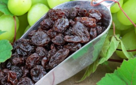 काली किशमिश या पीली किशमिश खाने में कौन सी है ज्यादा फायदेमंद?