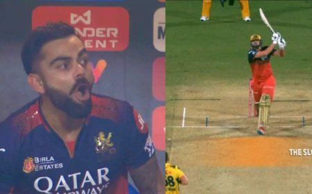 6, 6, 6... बेरहम डेविड ने आखिरी ओवर में बोला हल्ला, पवेलियन में उछल पड़े विराट