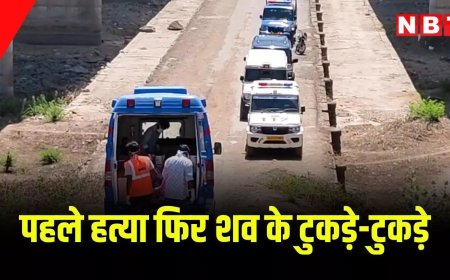 महिला को 6 टुकड़ों में काटा, फिर जलाने की कोशिश, भीलवाड़ा में रूह कंपा देने वाली वारदात